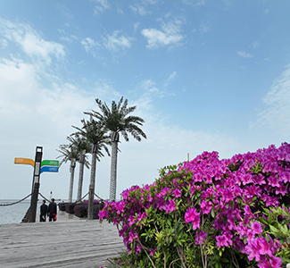 漁人碼頭